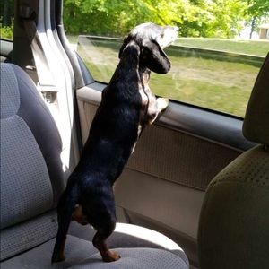 Meet your Posher, Stephen